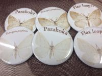 Parakoka - Moth of the Day Individual Badges or all six variants