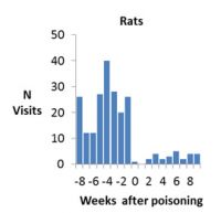 Number of visits by rats