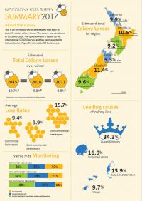 NZ Colony Loss Survey - infographic