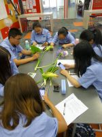 Takapuna Grammar students using smartphone apps for plant identification. Photo: Murray Dawson.