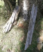 A hazed set (i.e. using sticks or rocks placed alongside the trap to guide the possum onto it)
