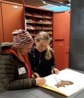 Kaniere School student and parent examining Allan Herbarium specimen