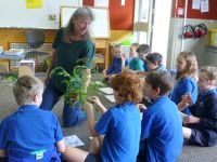Robinne Weiss giving Heathcote Valley School students (Kauri Team) sorrel to taste, a plant traditionally cultivated but now considered a weed. Photo: Murray Dawson