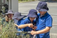 Heathcote Valley School students (Kauri Team) learning to use the iNaturalist app in the school grounds. Photo: Brad White