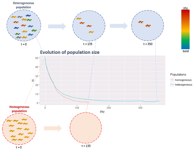 Figure 1. Simulated evolution of pest population size (initial size N=50) during a trapping regime for up to 350 days homogeneous and heterogeneous populations.