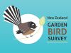 The Garden Bird Survey