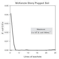 Figure 3. Ratio of <em>E. coli</em> applied to that in the leachate (C/Co) of a pugged Mackenzie stony soil core after a 25 mm application of DSE followed by rainfall at 5 mm/h. The peak at the start of the breakthrough curve indicates that some of the DSE is flowing through the soil via larger pores and not being filtered. 