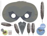Grey warbler face mask