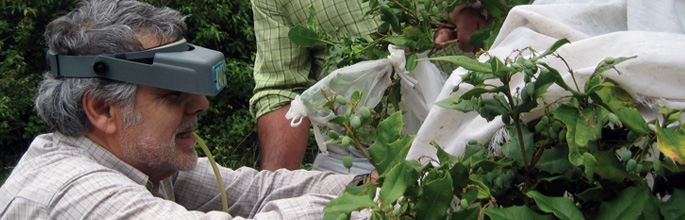 Managing invasive weeds, pests & diseases