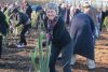 Sue Scheele helping establish a pā harakeke.