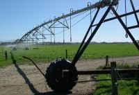 Sprinklers shut off as this variable-rate irrigator moves over a laneway while in the background the pasture continues to be irrigated.