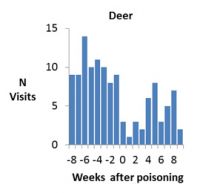 Number of visits by deer