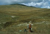 Erosion pavements scattered amongst grassland Matiri Range, western Nelson (Peter Williams)