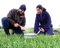 Surinder Saggar and Jagrati Singh measuring soil methane levels in pasture