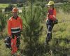Discussing growth of 2–year old pines on rehabilitated mined land with Solid Energy staff