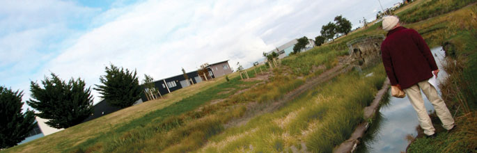 Stormwater treatment in a housing development