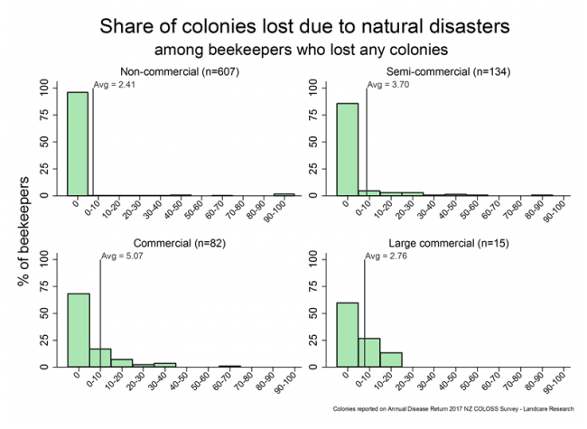 <!-- Winter 2017colony losses that resulted from natural disasters, based on reports from all respondents who lost any colonies, by operation size. Natural disasters include gale force winds, flooding, etc. --> Winter 2017colony losses that resulted from natural disasters, based on reports from all respondents who lost any colonies, by operation size. Natural disasters include gale force winds, flooding, etc. 
