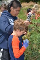 Students hunt for biocontrol insects on gorse
