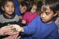 Pupils at New Lynn Primary School, West Auckland, having turns at handling a live Avondale spider, an Australian huntsman spider established in the Avondale region of Auckland since the 1920s. Photograph: Chris Hoult, Western Leader, 10 August 2000.