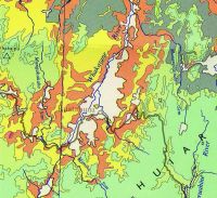 Map drawn in 1980 (Nicholls 1990). Tawa–podocarp forest (yellow area) and tawa forest (orange area).