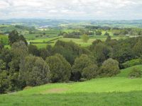 Example of farmland with different types and levels of woody vegetation cover.