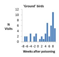 Number of visits by 'ground' birds