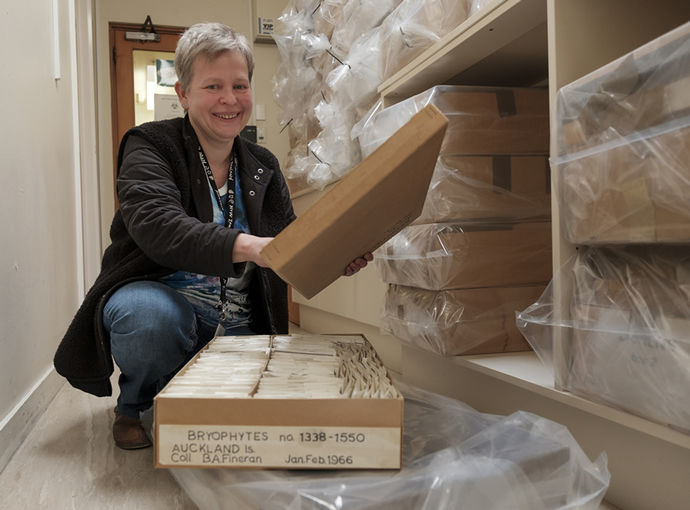 Herbarium manager Ines Schonberger with incoming boxes of specimens