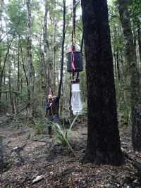 A carbon dioxide trap used to collect host-seeking mosquitoes. Image - Clare Cross
