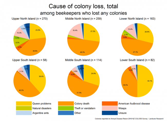 <!-- Share of total colony losses over winter 2016 attributed to various causes based on reports from respondents who lost any colonies, by region. --> Share of total colony losses over winter 2016 attributed to various causes based on reports from respondents who lost any colonies, by region. 