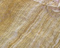 Waitemata sandstone. Image – Craig Ross