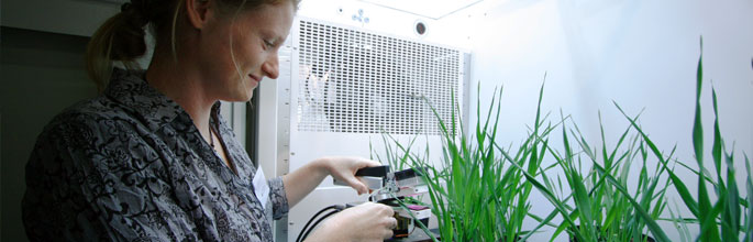 Monitoring photosynthesis in the GHG facility