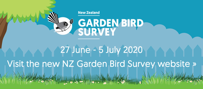 Visit the new NZ Garden Bird Survey website