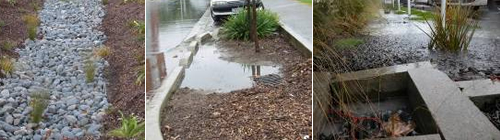 Common faults (from left to right): not enough planting and stones too large for plants to be able to push their way through; raingarden over-filled with soil and mulch so stormwater cannot pond and instead runs to the overflow (grate); floating mulch – if the grate was not protected by the concrete blocks, bark would block the grate.