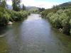 Motueka River