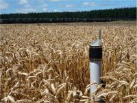 A network of soil moisture sensors automatically informs the irrigation scheduling