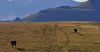 land potential - Waipuna Saddle (John Hunt)