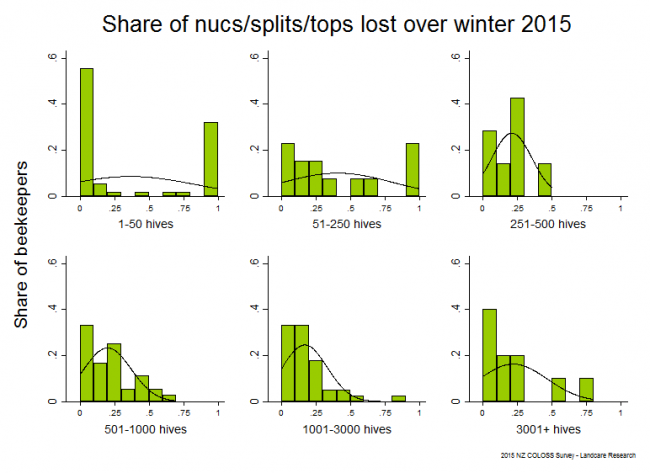 <!--  --> Total Nuc/Split/Top Losses: Winter 2015 nuc/split/top losses as a share of total nucs/splits/tops on 31 March 2015 for all respondents, by operation size.
