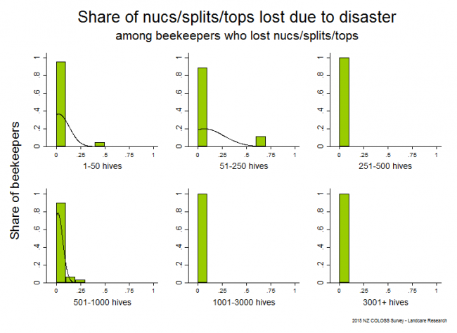<!--  --> Winter 2015 nuc/split/top losses that resulted from natural disasters based on reports from all respondents who lost any nucs/splits/tops, by operation size. Natural disasters include gale force winds, flooding, etc.