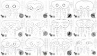 Bird mask set (16 birds) - black and white for colouring in