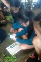 Students using weed identification app 