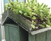 Green–roofed letterbox