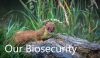 Our Biosecurity