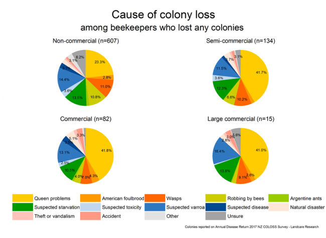 <!-- Share of colony losses attributed to various causes, based on reports from respondents who lost any colonies, by operation size. --> Share of colony losses attributed to various causes, based on reports from respondents who lost any colonies, by operation size. 
