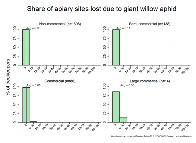 <!-- Share of apiaries lost due to giant willow aphid during the 2016/17 season, based on reports from all respondents, by operation size. --> Share of apiaries lost due to giant willow aphid during the 2016/17 season, based on reports from all respondents, by operation size. 
