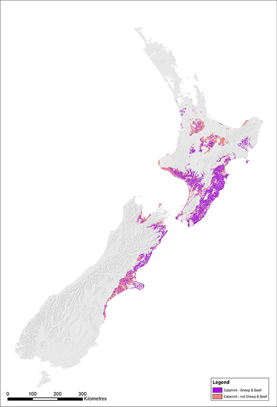 Land area where the tested environmental factors are identical to those in the parts of Hawke’s Bay invaded by lesser calamint. Peach colour represents the entire area at risk; the superimposed purple area represents the portion in sheep and beef farming.