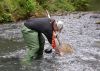 Sampling method for shallow stony streams