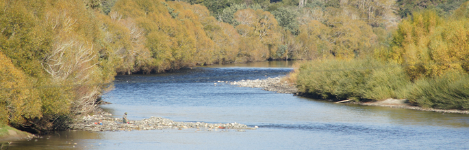 Motueka River. Image - Adrienne Farr