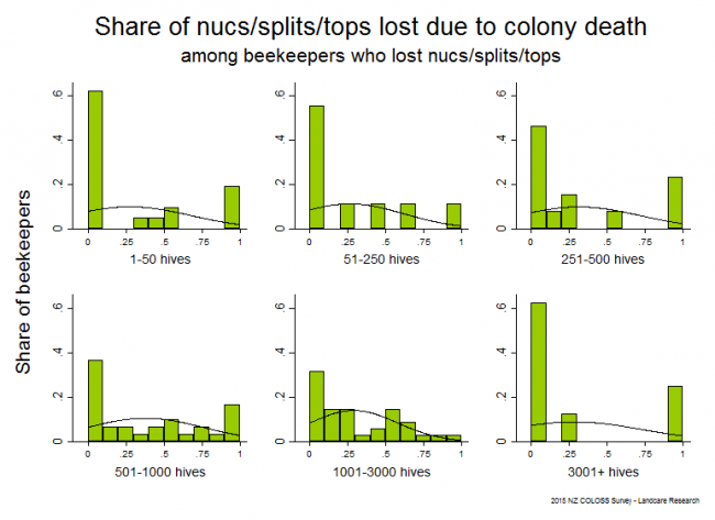<!--  --> Losses Attributable to Colony Death: Winter 2015 nuc/split/top losses that resulted from colony death based on reports from all respondents who any lost any nucs/splits/tops, by operation size.