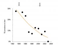 <strong>Fig. 2 </strong> Gradual decline in TB prevalence in deer in the eastern Hauhungaroa Range in the central North Island after possum control in 1994 and 2000 (arrows).