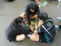 Students assembling weed  jigsaws 